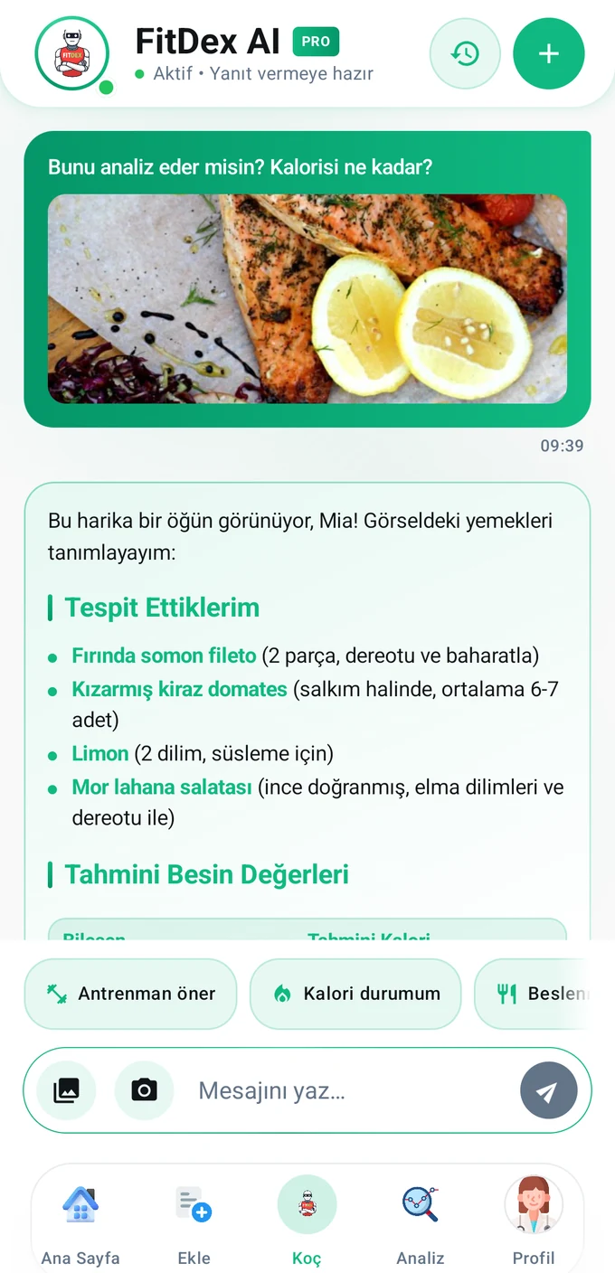 FitDex koç sohbeti: gönderilen yemek fotoğrafı ve koçun yazdığı tahmini kalori ile makro değerleri